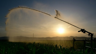 France braces for early heatwave as Spain battles forest fires