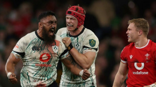 Ireland hail supersub energy, Wales see solace in defeat