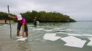 No 'significant' harm from Galapagos diesel spill: reserve