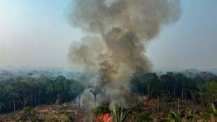 Nearly 3,000 fires in Brazilian Amazon in February, new record