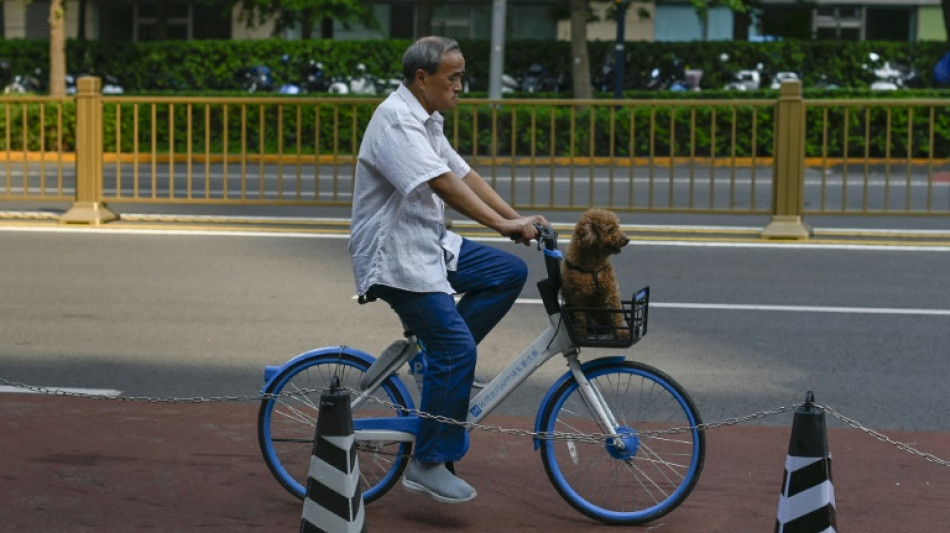 China's Hellobike looks to say hello to Europe