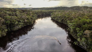 Indígenas colombianos vs. créditos de carbono: el lado oscuro de la geopolítica ambiental