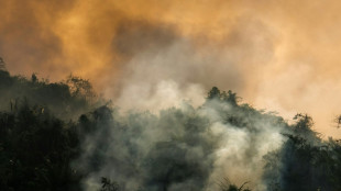 Seca e incêndios incomuns preocupam setor agrícola no Brasil