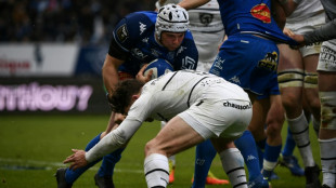 Top 14: Castres-Toulouse, un derby en demie