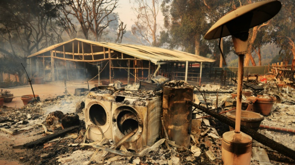 Waldbrand wütet in kalifornischer Küstenstadt Malibu - 1500 Feuerwehrleute im Einsatz