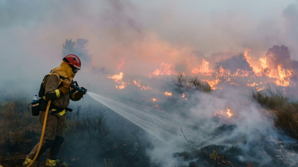 Controlado un gran incendio en el noroeste de España tras la ola de calor