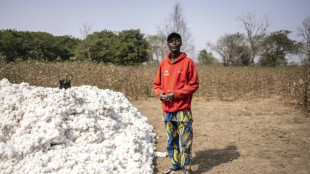 De l’or blanc aux t-shirts: l’ambitieuse transformation du coton béninois