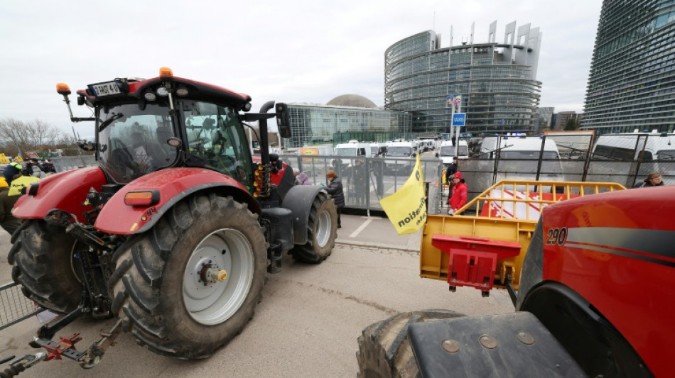 El Parlamento Europeo aprobó una ley esencial del Pacto Verde, para proteger la biodiversidad