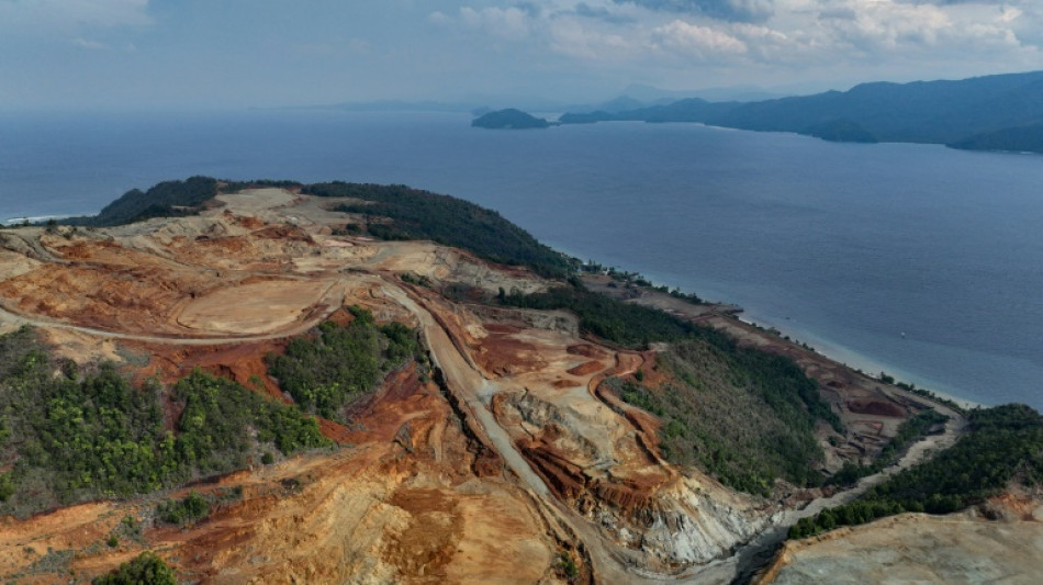 Indonesia deforestation rose again in 2024: NGO