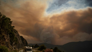 Vuelven a casa 2.000 personas que fueron evacuadas por un incendio en España