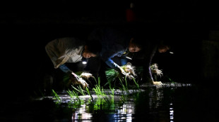 Vietnam farmers planting in the dark as heatwave looms