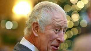 Salvas de canhões e ligação do príncipe Harry nos 75 anos de Charles III