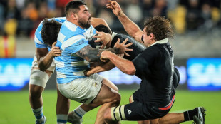 Rugby Championship: l'Argentine bat la Nouvelle-Zélande chez elle 38-30