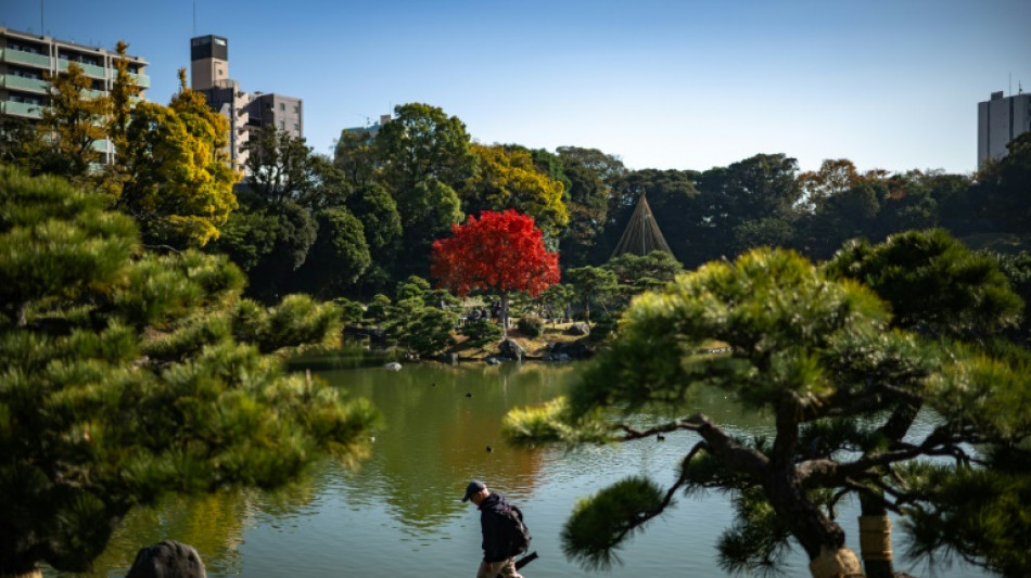 2024 fue el año más caluroso registrado en Japón