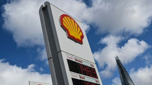 Shell gewinnt Prozess wegen Ölverseuchung vor der Küste Nigerias 