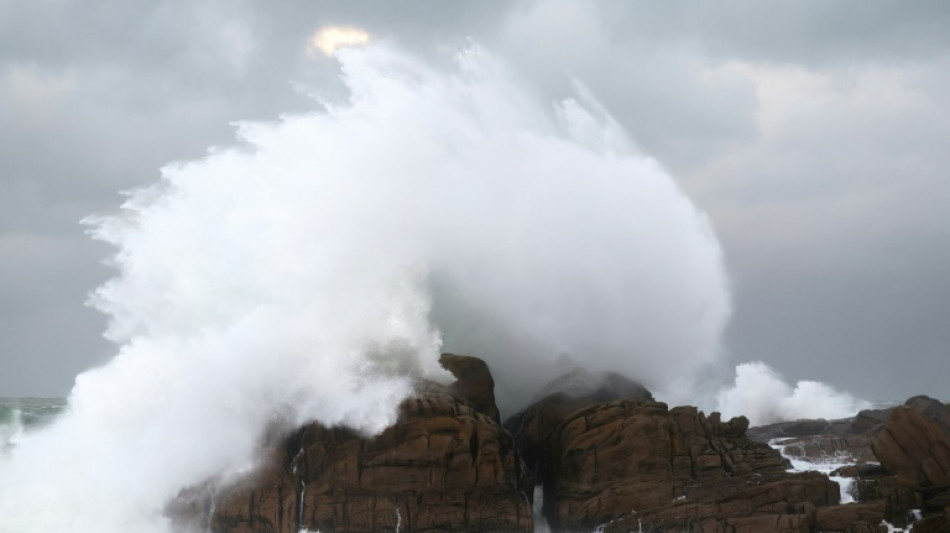 Tempestade Ciaran deixa cinco mortos e causa perturbações ao tráfego no oeste da Europa