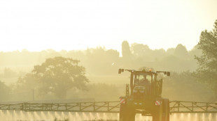 EU-Staaten beraten über Glyphosat-Zulassung