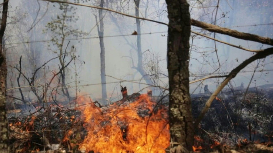 Incêndios florestais no México deixam quatro mortos