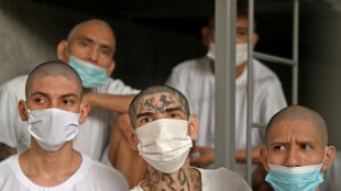 Procès de masse au Salvador contre des meneurs du gang MS-13