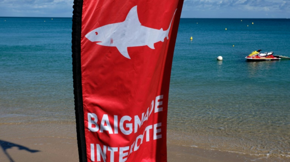 En Nouvelle-Calédonie, l'abattage des requins fait grincer des dents 