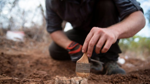 Africa's oldest dinosaur found in Zimbabwe