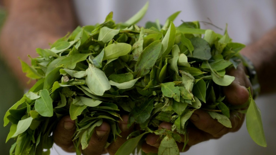 Colombia breaks coca-growing record, slams 'war on drugs'