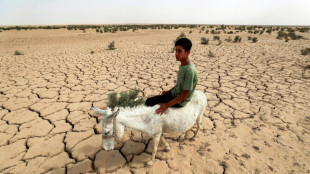 Key Iraq irrigation reservoir close to drying out