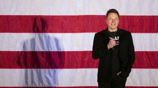 Elon Musk en discussion pour racheter TikTok aux USA, une "pure fiction" selon la plateforme