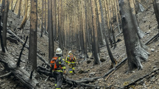 Rain checks spread of Japan wildfire