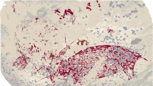 Obra de arte mais antiga do mundo é descoberta em caverna na Indonésia