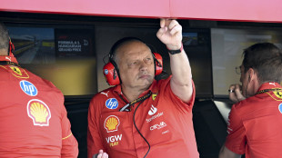 F1: Olanda; Vasseur 'a Zandvoort la qualifica sarà decisiva'