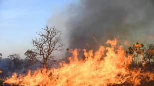 Gran incendio afecta Parque Nacional de Brasilia, favorecido por sequía