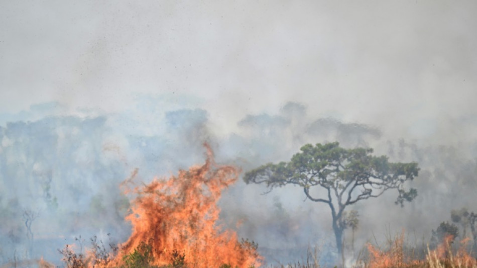 'Estamos tentando evitar o fim do mundo': Flávio Dino defende gastos com incêndios