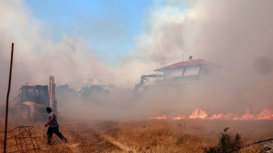 Los bomberos griegos luchan por salvar un parque natural de las llamas