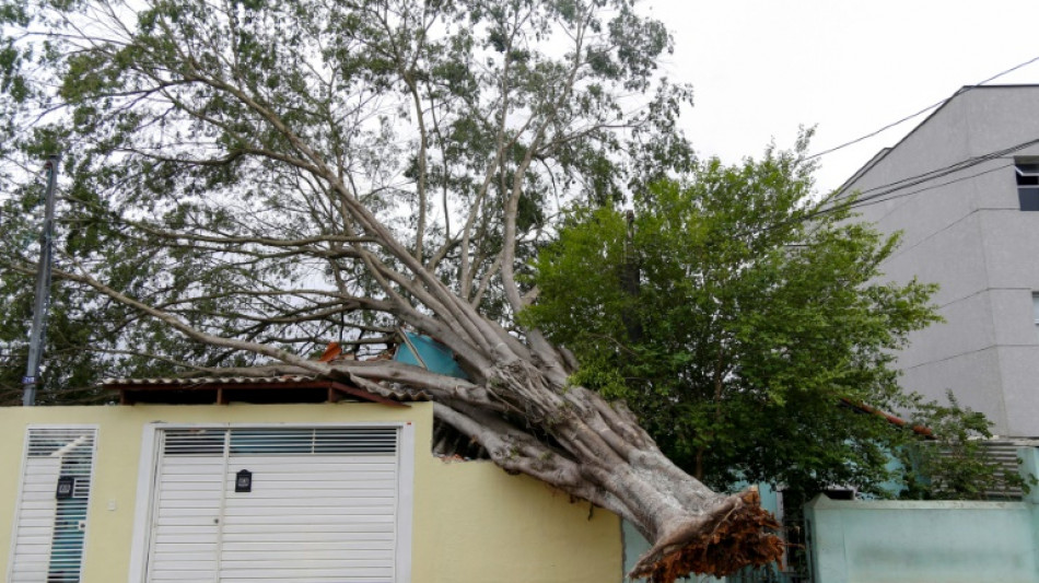 Nach Dürre: Acht Tote und Stromausfälle durch heftige Regenfälle in Brasilien