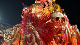 A Rio de Janeiro, l'allégresse retrouvée du carnaval