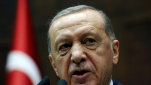 Erdogan warns Sweden on NATO after Koran burning