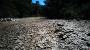 Records de chaleur battus, la canicule se déplace vers l'est 