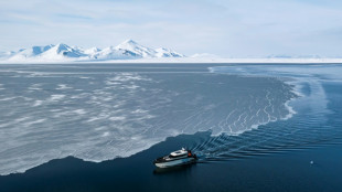 L'ONU alerte sur les rapides modifications de la cryosphère