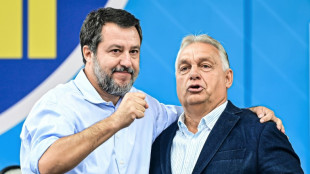 Salvini und Orban kritisieren EU bei Lega-Fest als "ökoterroristisch"