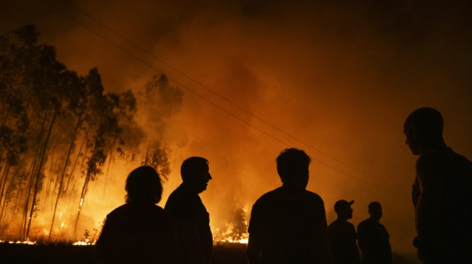 La plupart des incendies maîtrisés au Portugal