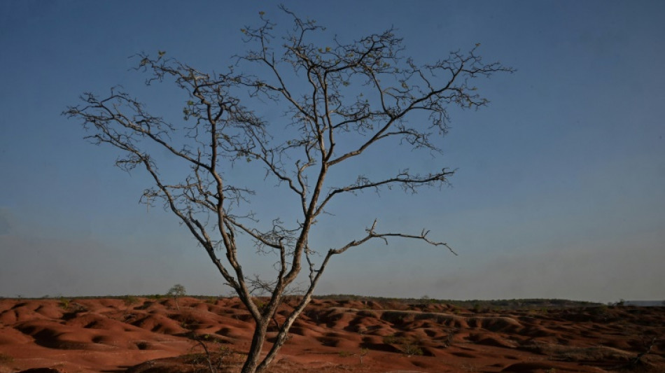 Agricultores resistem à desertificação de suas terras em Gilbués, Piauí 