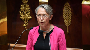 Devant le Parlement, l'appel au "compromis" d'Elisabeth Borne face à la défiance des oppositions