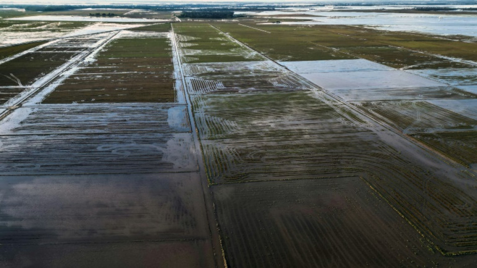 Brasil elimina aranceles de importación al arroz tras pérdidas por inundaciones