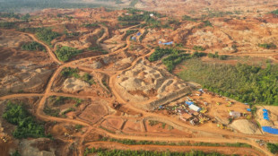 Satellite images show deforestation toll of Indonesia mines