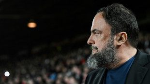 Forest owner Marinakis banned for spitting towards officials