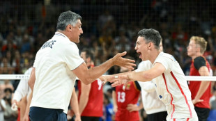 Volley: les Bleus souffrent mais s'arrachent pour avancer en demi-finale