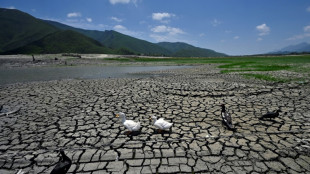 'Desperate for water': drought hits Mexican industrial powerhouse